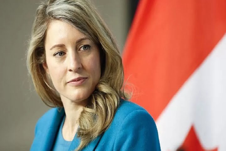 Ottawa declares Chinese diplomat ‘persona non grata’ in Canada