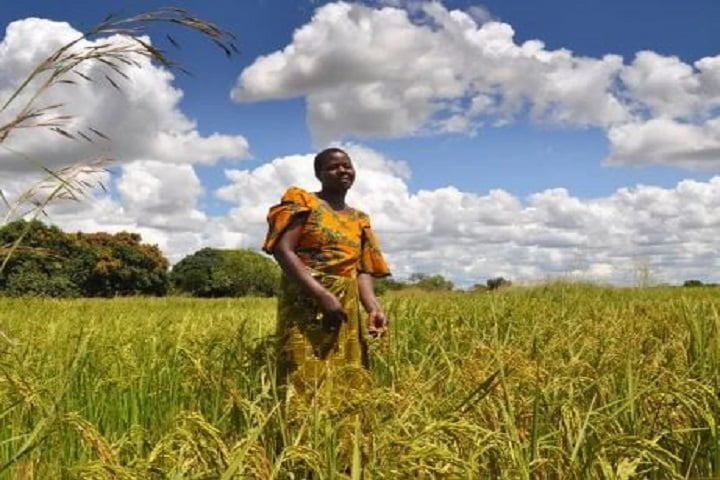 World Bank approves 708bn/- for Tanzania food systems resilience programme