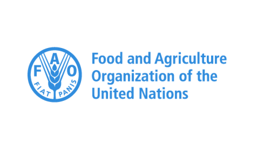 Sudan: FAO launches emergency response plan to protect and restore agricultural livelihoods amid conflict