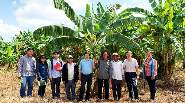 South-South Cooperation boosts expertise to protect plant health and livelihoods in Cambodia and Sri Lanka