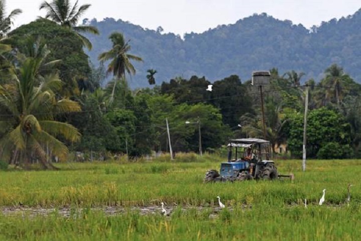 Malaysia food security threats likely as El Nino returns